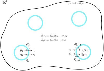 Symmetry-breaking bifurcations for compartmental reaction kinetics coupled by two bulk diffusing species with comparable diffusivities in 2-D